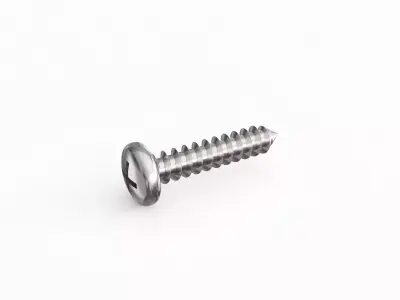 Screw 66 3D model