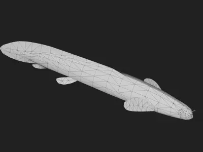 Bichir Low-poly 3D model 3