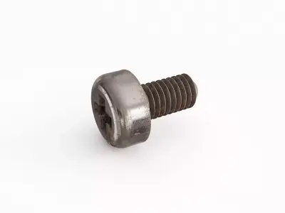 Screw 165 3D model