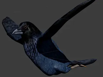 Low poly raven Low-poly 3D model