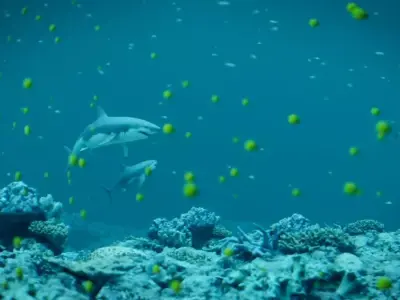 Underwater EcoSystem Free low-poly 3D model