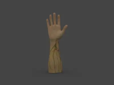 HAND-010 Right Hand Low-poly 3D model