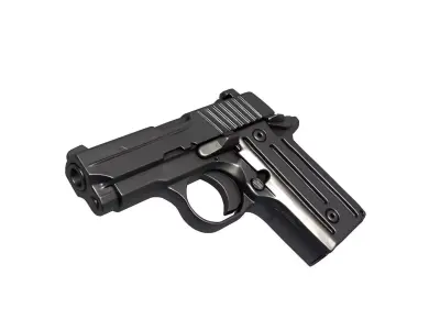 P238 RAINBOW 3D print model