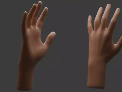 Realistic Hand Model 3D model