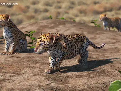 Leopard Cub Sneaking Pose 3D model