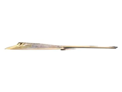 Stingray Fish 3D model