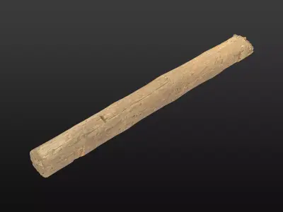 Wood Beam 04 3D model