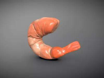 Shrimp clay sculpture 3D model