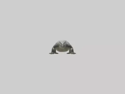 Philippine crocodile Low-poly 3D model