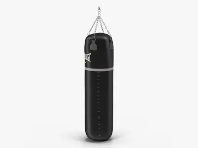 Everlast Super Leather Heavy Punching Bag Low-poly 3D model