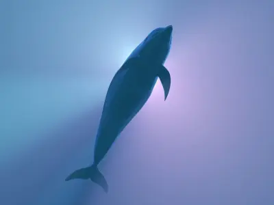 Dolphin Rigged swimming in sea Low-poly 3D model