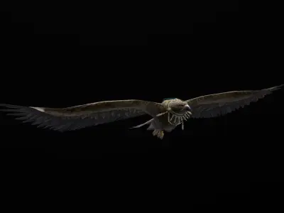 low-poly animated eagle with necklace Low-poly 3D model