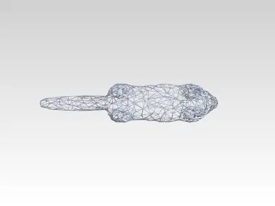 Cat Wireframe 3D model