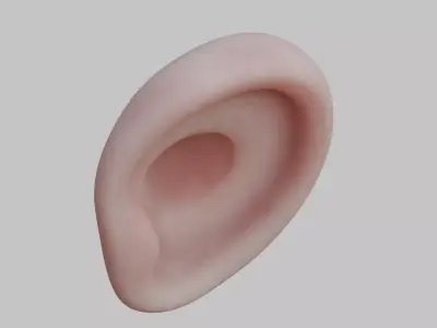 Stylized human ear Low-poly 3D model