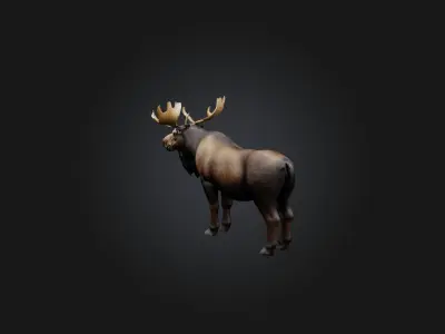 Realistic Moose Model Low-poly 3D model