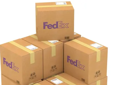 Fedex Cardboard Box with Pallet 3D model