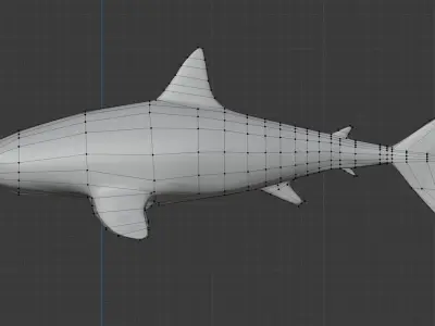 SHARK great Low-poly 3D model purchase