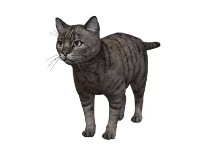 Kitty Cat Low-poly 3D model