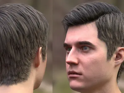 Mans Head 3D model