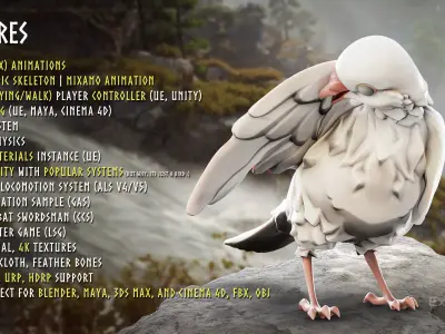 White Pigeon - Flying System - Bird Behavior Low-poly 3D model