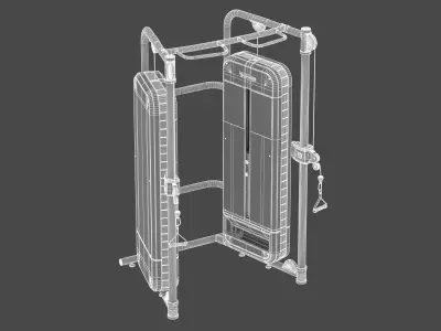 Technogym Dual Adjustable Pulley Performance 3D model