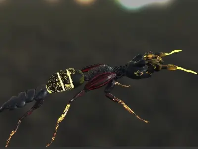 Mech Ant Free low-poly 3D model