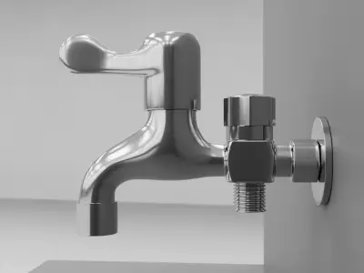 Modern Dual-Outlet Washing Machine Faucet with Angle Valve 3D model