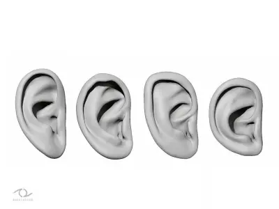 Ear Set 3D model