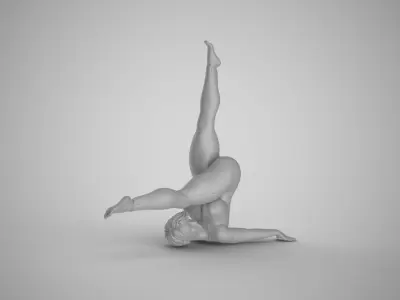 Flexibility at Midday 3D print model