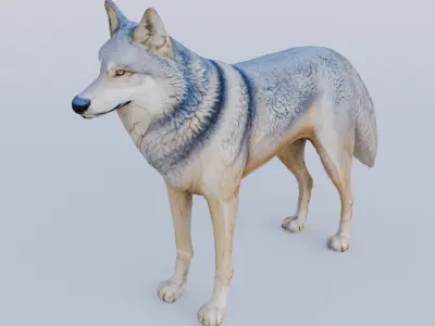 Wolf King Free 3D model