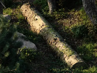  Large Decaying Mossy Forest Log Model 