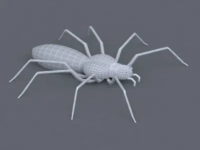 Spider Low-poly 3D model 7