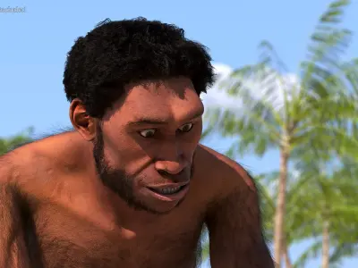  Cavemans Collection 
