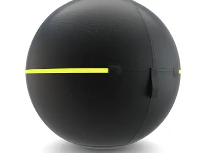Technogym Ball 3D model