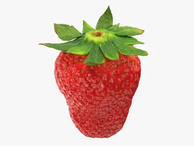 Strawberry With Stem Collection 3D model