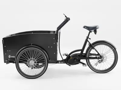 3D Model of Cargobike DeLight Low-poly 3D model