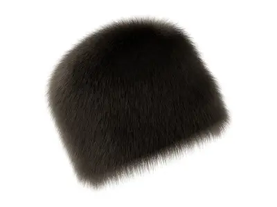 Shapka Fur Hat 3D model