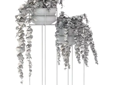 Metal Standing With Money Plant 3D model