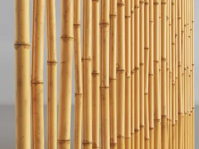 Bamboo 3D model purchase
