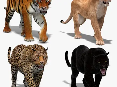 Big Cats Animated 3D model