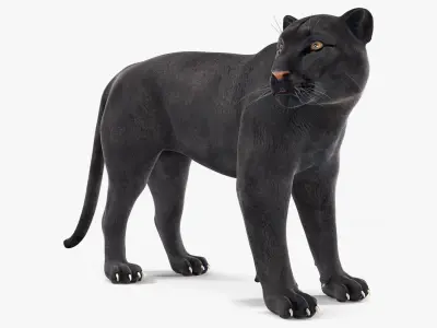 Black Panther Stand Pose 3D model