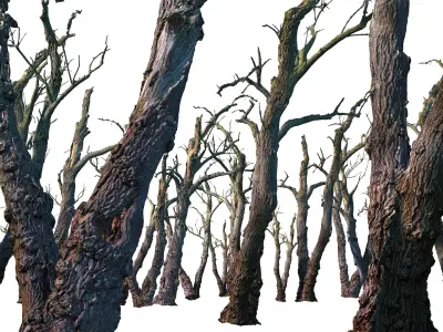 Old Forest 2 ULTRA HD 3D model