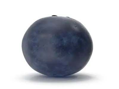 Blueberry 3D model