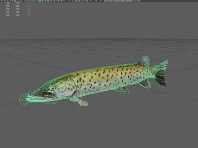 Amurpike Low-poly 3D model