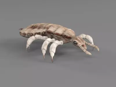 PHOTOREALISTIC ANIMATED LICE 3D model