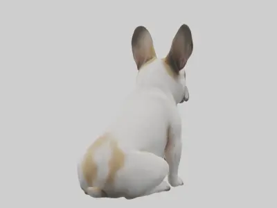 Sitting French Bulldog model Low-poly 3D model