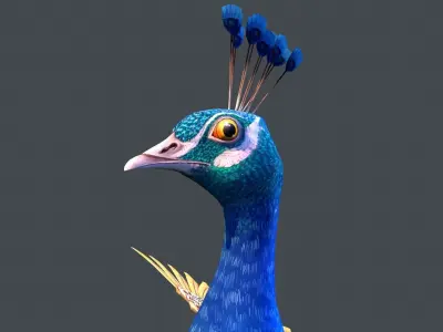 Peacock bird Low-poly 3D model