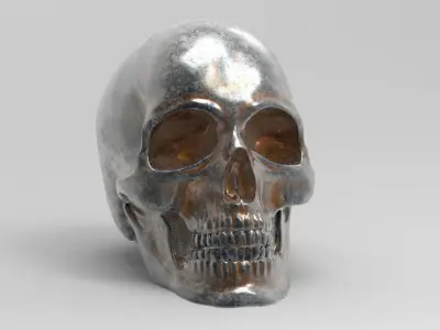 Anatomically correct human skull in full size 3D print model