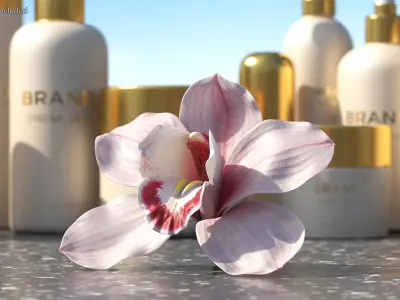 Hybrid Orchid Pink 3D model