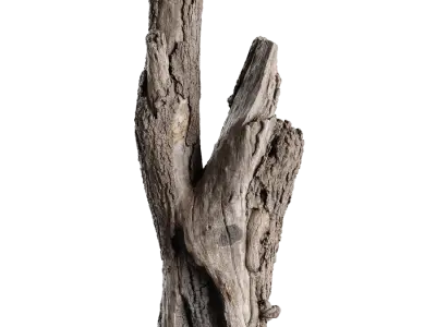  Tall Cut V-Shaped Deciduous Stump Model 